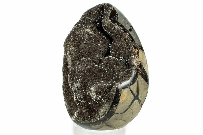 Septarian Dragon Egg Geode - Sparkly Black Crystals #329499